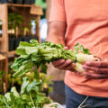 Exploring the Local Food Scene in Deschutes County, Oregon
